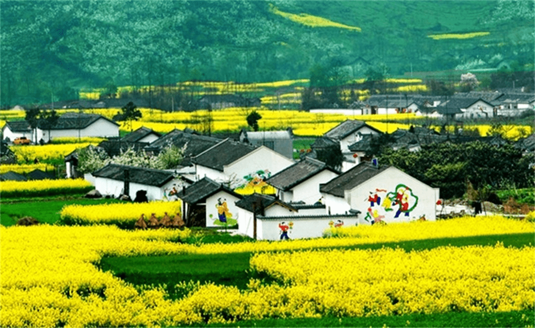 乡村旅游的早期动向，历史演变、现状分析与未来展望