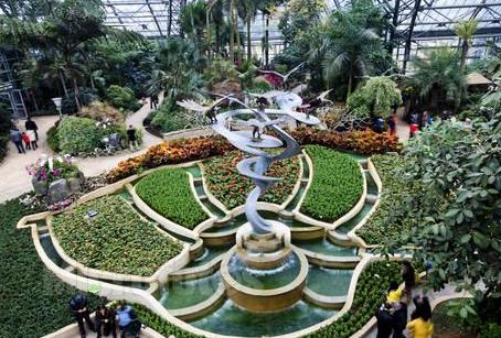 重庆南山植物园，历史与魅力的探索之旅
